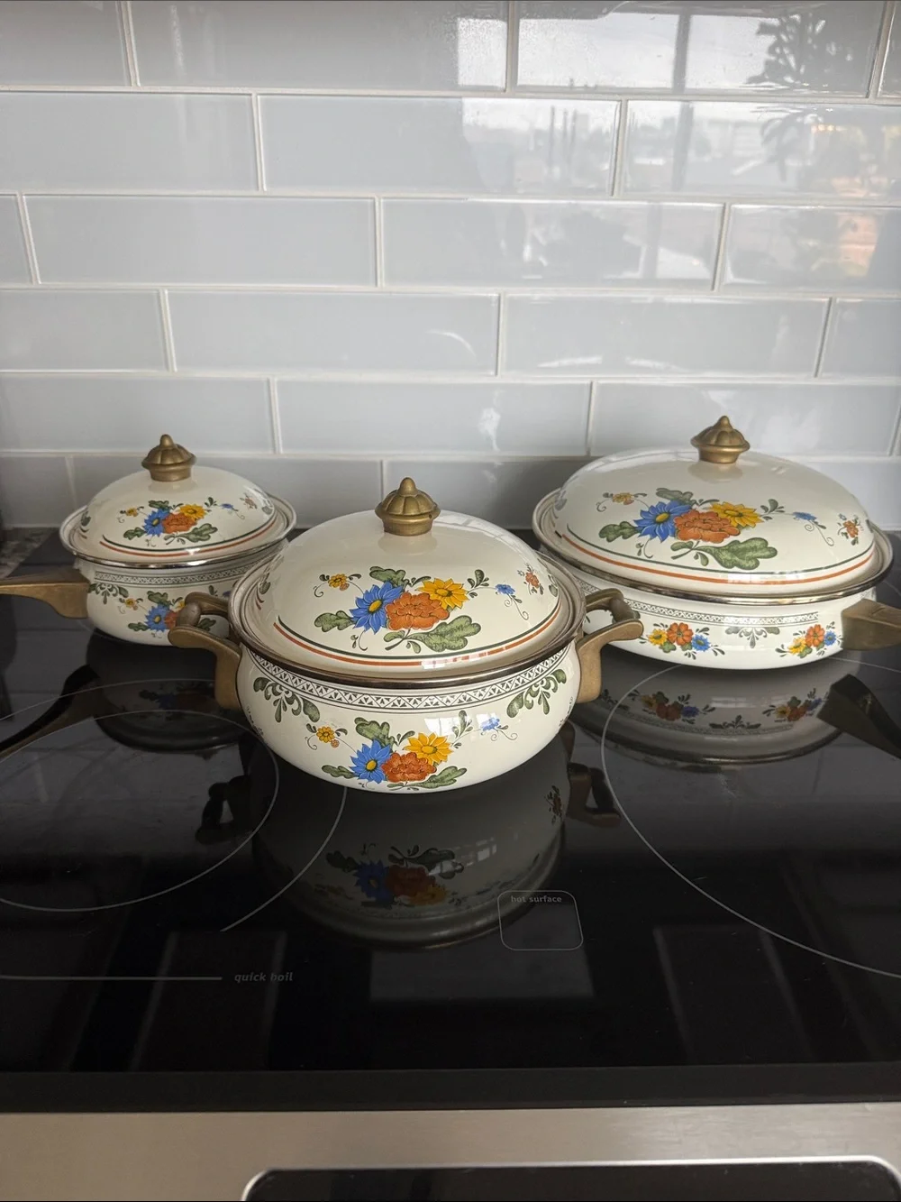 Vintage ASTA Fissler Style Enamelware Cookware Set Floral & Brass 3 Lidded Pots